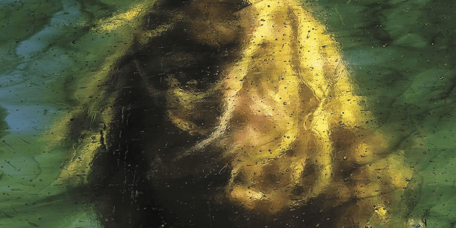 Front cover of The Smile - Wall of Eyes